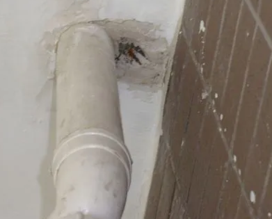 固安漏水检测哪家好